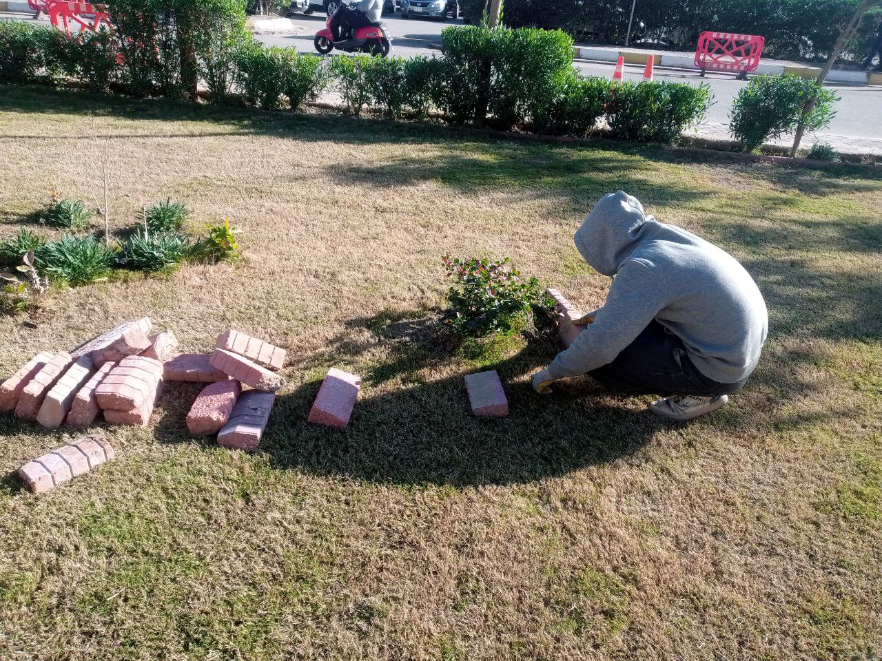 You are currently viewing Beautification Work in the Green Spaces of the College of Computer Science