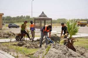Read more about the article University of Karbala Launches Tree-Planting Campaign to Promote Environmental Sustainability