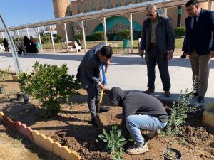 Read more about the article عميد كلية علوم الحاسوب يشارك بحملة التشجير .